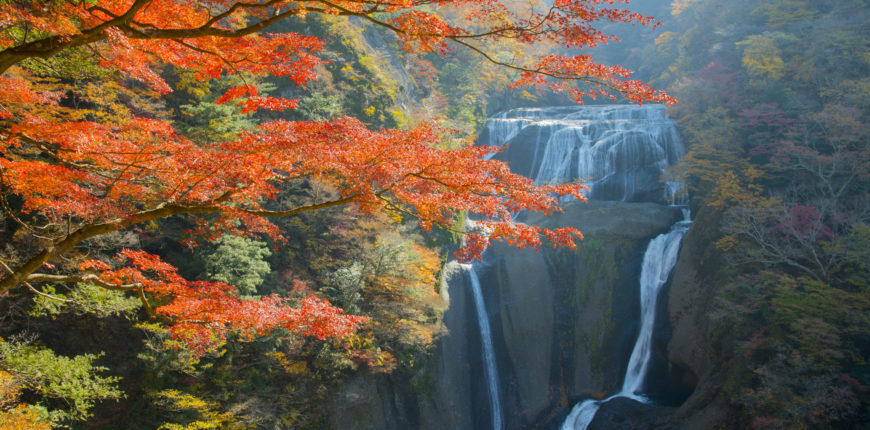 茨城県